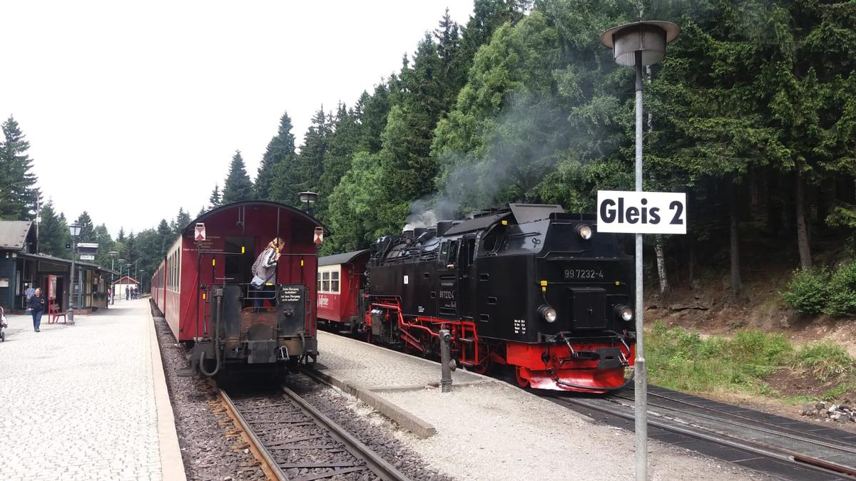 Bruno Häberli in Harz