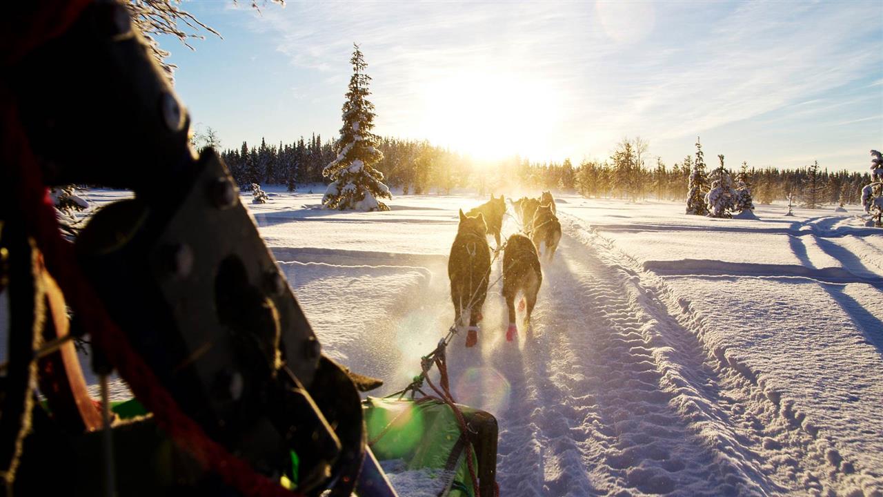 Winterwunderland Nordschweden