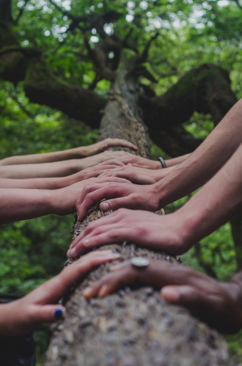 Teambildungsprozess in der Natur