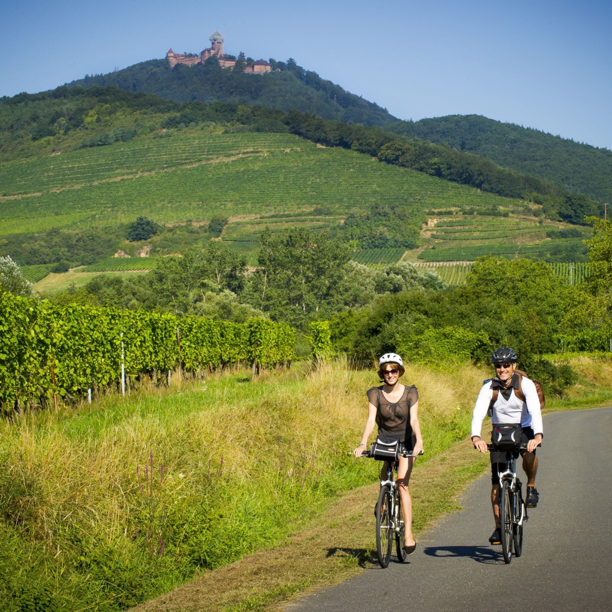 Veloreise durchs Markgräflerland und Elsass
