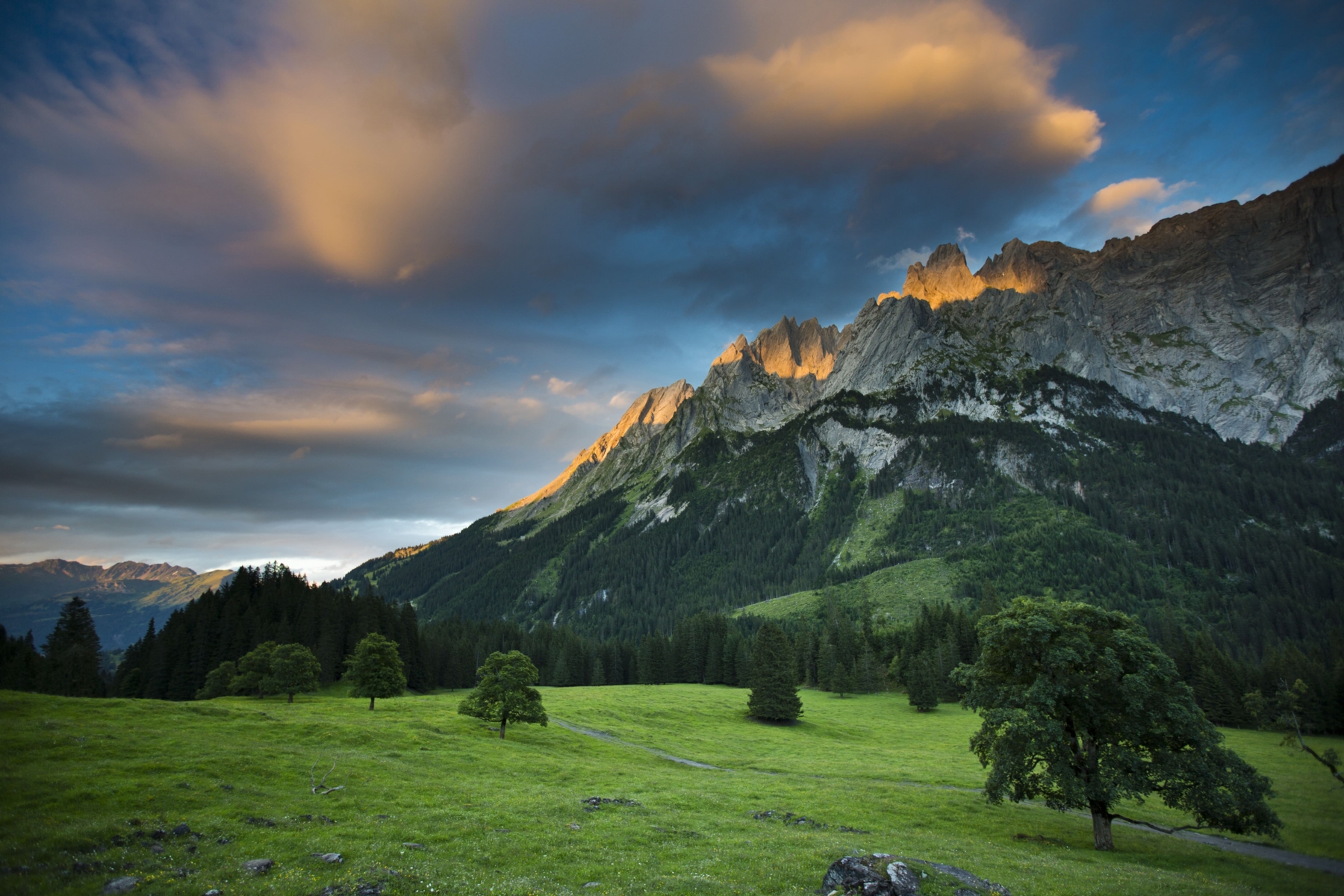 WWW – Wandern, Wein & Weibel
